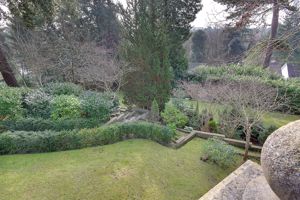 Garden (View from Patio)- click for photo gallery